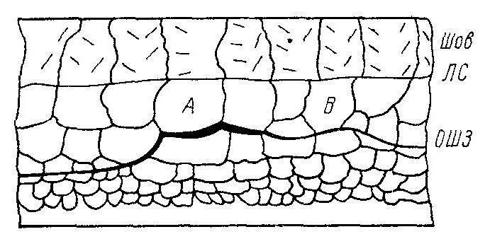 Межкристаллитный характер разрушения на участке очага холодной трещины (А) и смешанный на участке ее развития (В)